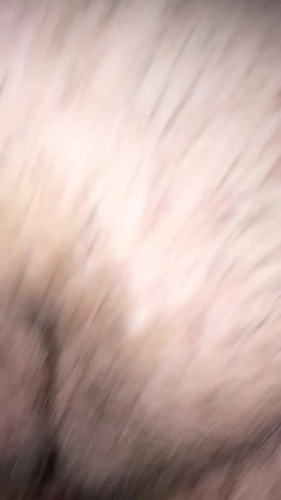La chatte de ma pute