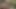 Erwischt und hart gefickt für einen riesigen BBC forest creampie