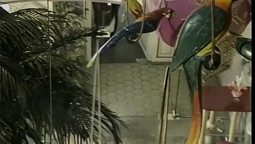 Cerita mesum pasangan mesum xxx - vol. #01