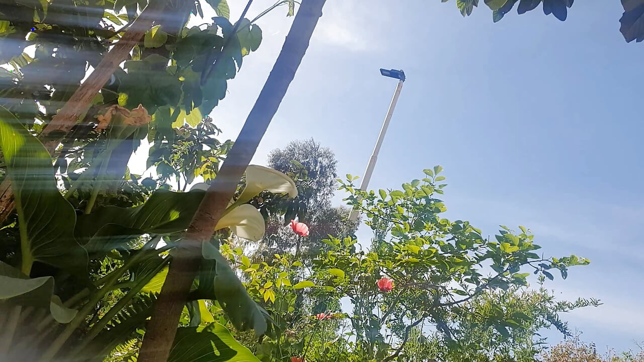 Being completely naked in the garden