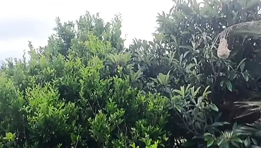 Drone'mla uçarken komşularımı sikişirken yakaladım