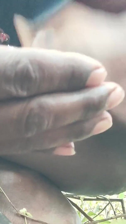 The was very erect, so I shook it | Clip 1