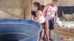 Pratinjau video