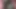 Two anon cocks