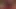 Der Rote
