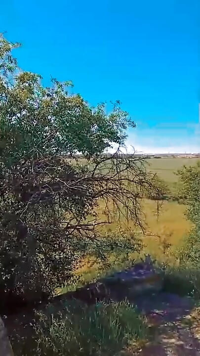 Video WillyAlexandruPetre
