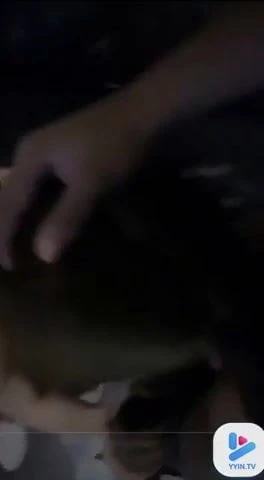 KTV sex