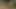 Evde yalnız ve ebeveynler eve gelene kadar birbirleriyle deneyler yapıyor