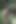 Virtual Date