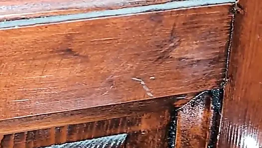 Seks pantat montok istri arab