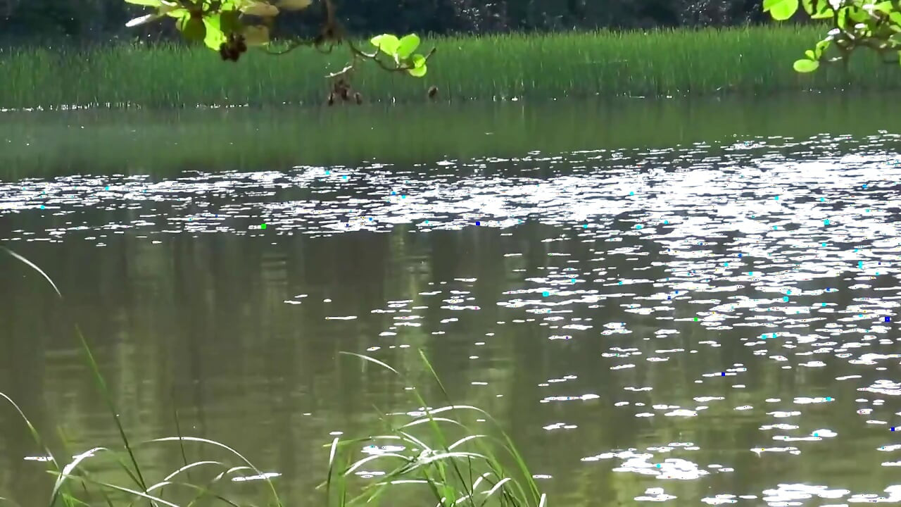 Sexy Outdoor Fuck with Hot Girls and Giant Dicks