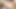 TGIRLS XXX: Lianna and John Get Heated!