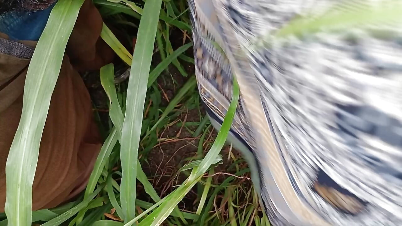 In the millet field, my elder sister-in-law sucked the cock and ass Mari opened the field of millet and killed my sister-in-law's ass