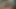 イケメン老人が口👄の中で射精