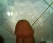 My Cock 22