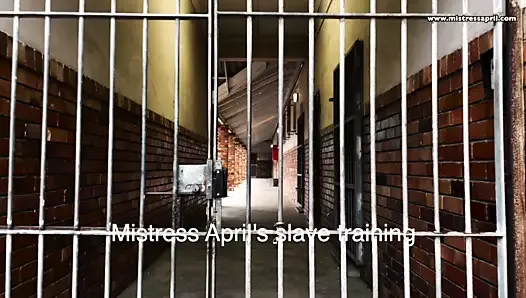 Dominatrix Mistress April - Slave Training Academy