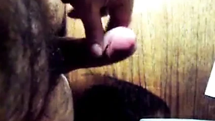 Başka bir döl parçası