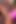 Phoenix Marie Jayden James'e anal seks dersi veriyor