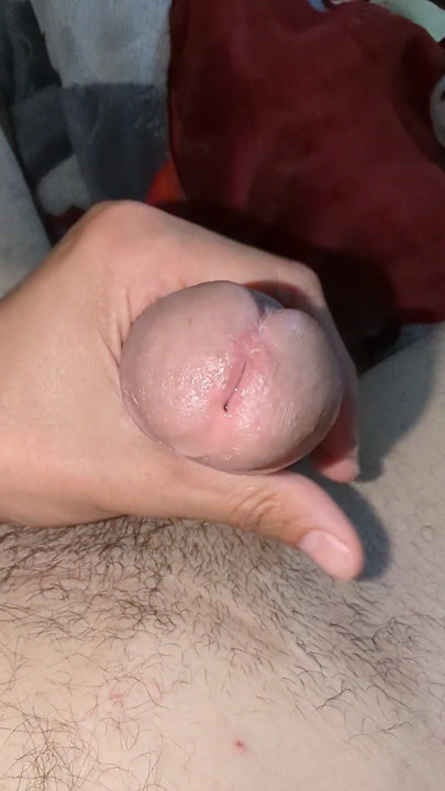 Sex Algerian zeb dz