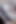 Tit Wank Live