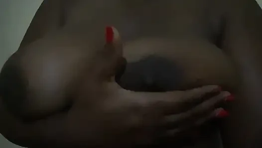 Echte Afrikanische Möpse