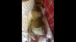 Pregled videozapisa
