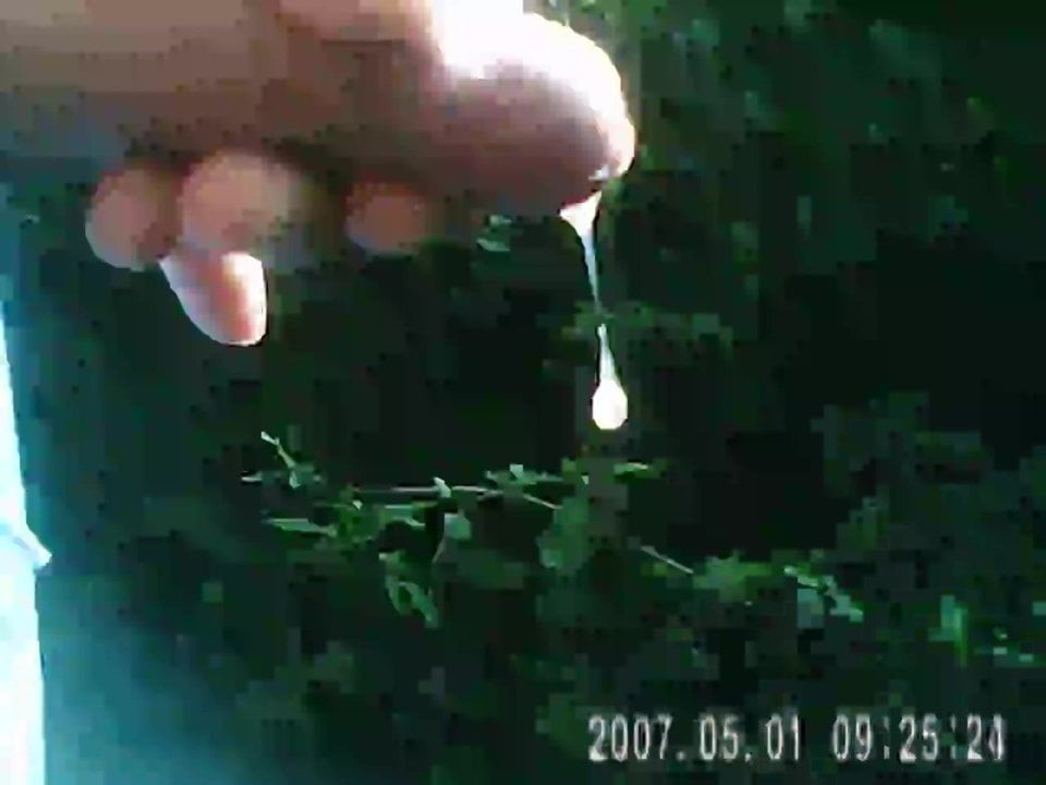 Outdoor im Wald gespritzt...