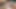 Hunt4k. A pornográf faszát egy másik férfi feleségének elkapásába tolja