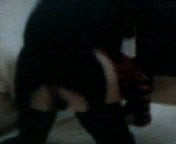 auau gostoso