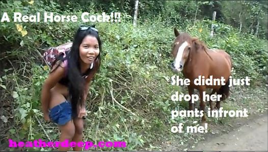 Adolescente tailandesa do Peru para cavalos do Equador para Creampies