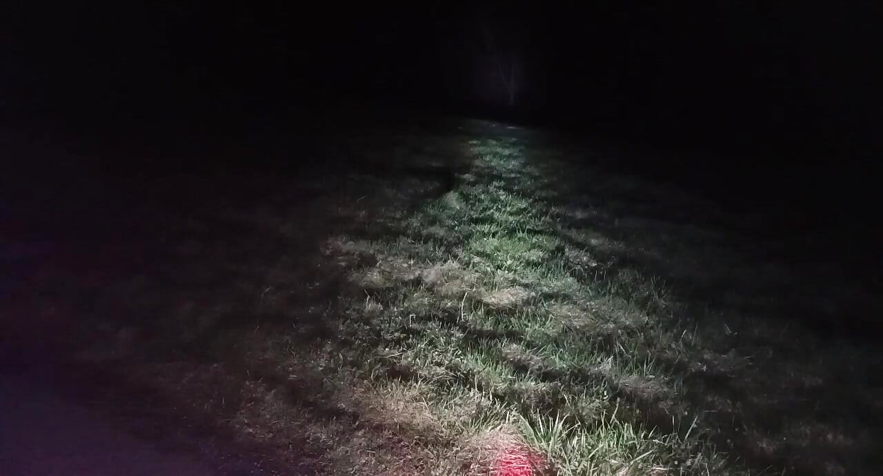 I Strip and Jerk off Outside at Night