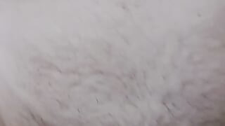 Chewing this tail