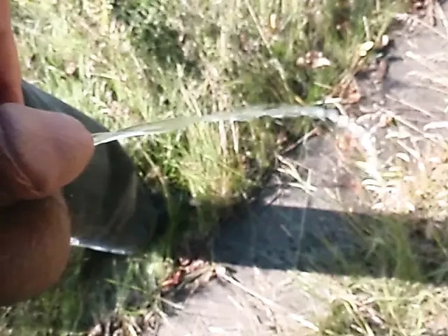 Meo en público al aire libre