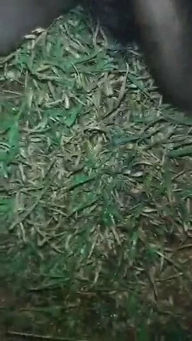 Masturbating