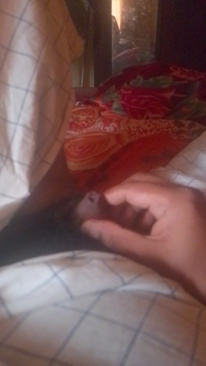 Mallu boy small dick
