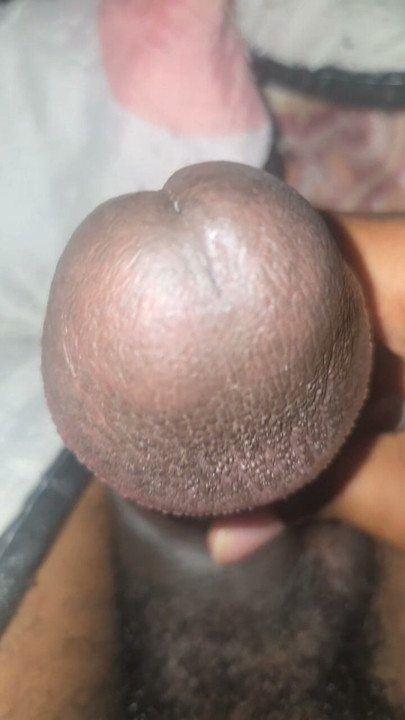 Huge mushroom