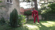 Pratinjau video