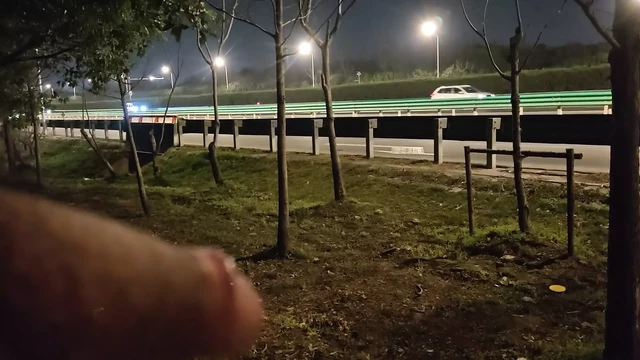 Show my cock to the driver himself