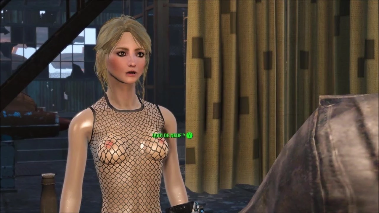 Fallout 4 katsu i atom mačke