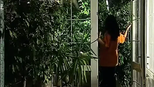 из производства Анжелика Bella LA SIGNORA DEGLI UCCELLI, Sc 05