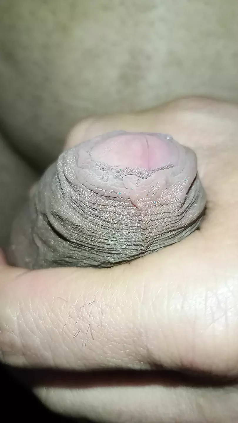 fitness masturbates while her parents are away, big and slobbery, hot cock, gay submissive fitness