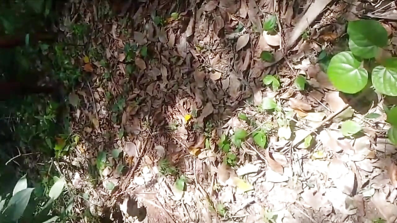 La Esposa Fue Follada Por Alguien Que Vino a Limpiar El Jardín Mientras El Esposo Estaba En El Trabajo