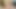 Pinnend, facesitting, blowjob, happy birthday