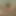 Cheating Wife Teases Her Cuckold Husband, Who Can Only Masturbate Deep in the Mountains, by Sending Him a Video of Her Pussy.