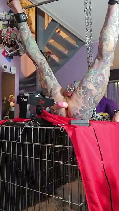 Hooked up legs spread and ready tp pegged