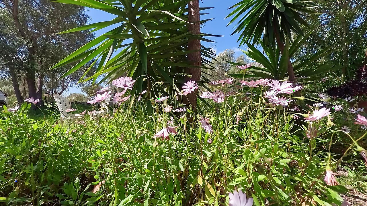 Supar dubli beb apni tng choot ko khush kar rahi hai