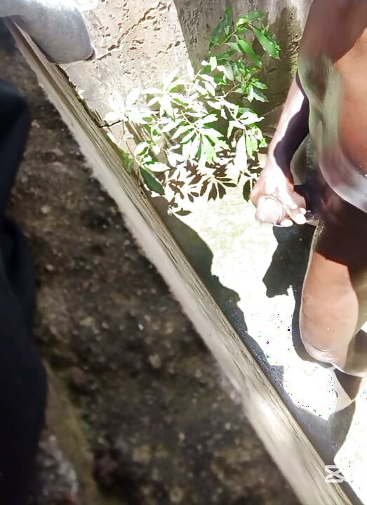 Heißer sonniger tag, schwanzmassage wurde wild