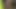 Big Uncut Monster dick sucking by my best friend