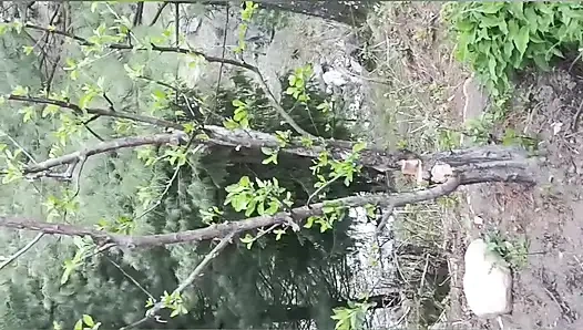 Desi outdoor blowjob compilation miss mahi 2007 18 year old teen girl