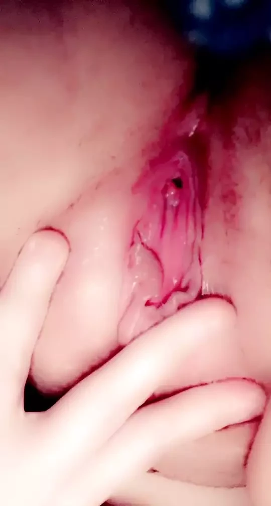 Playing with my wet kitty